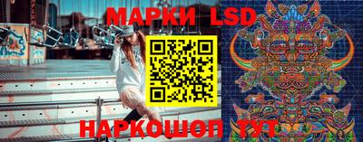 гидропоника Будённовск