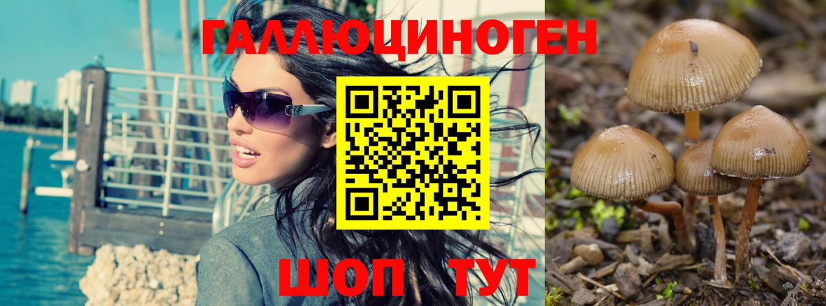 Псилоцибиновые грибы MAGIC MUSHROOMS  Вход с VPN  Орск  Псилоцибиновые грибы мухоморы 